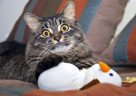 体育新闻中心发布青少年运动发展报告，青少年运动现状