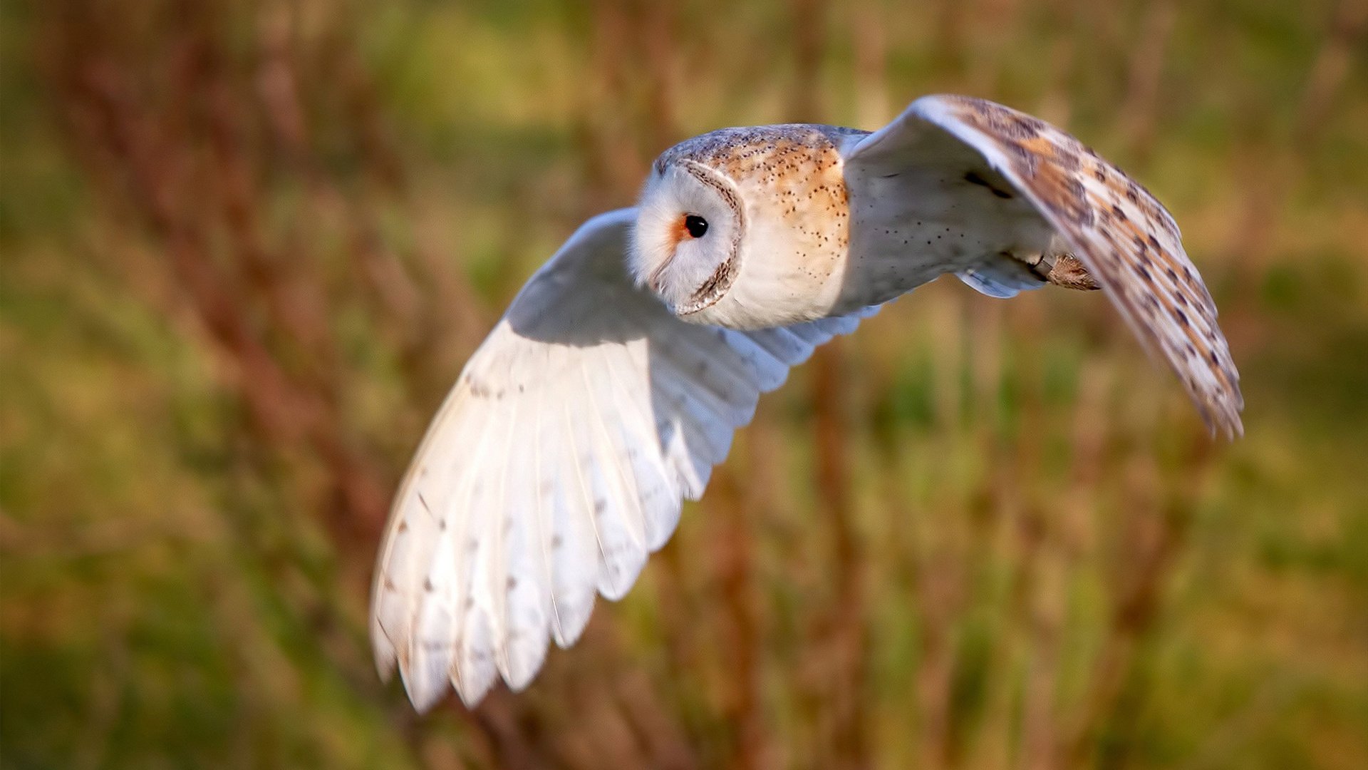 新赛季装备检查机制纳入规则制定流程，装备检查方案