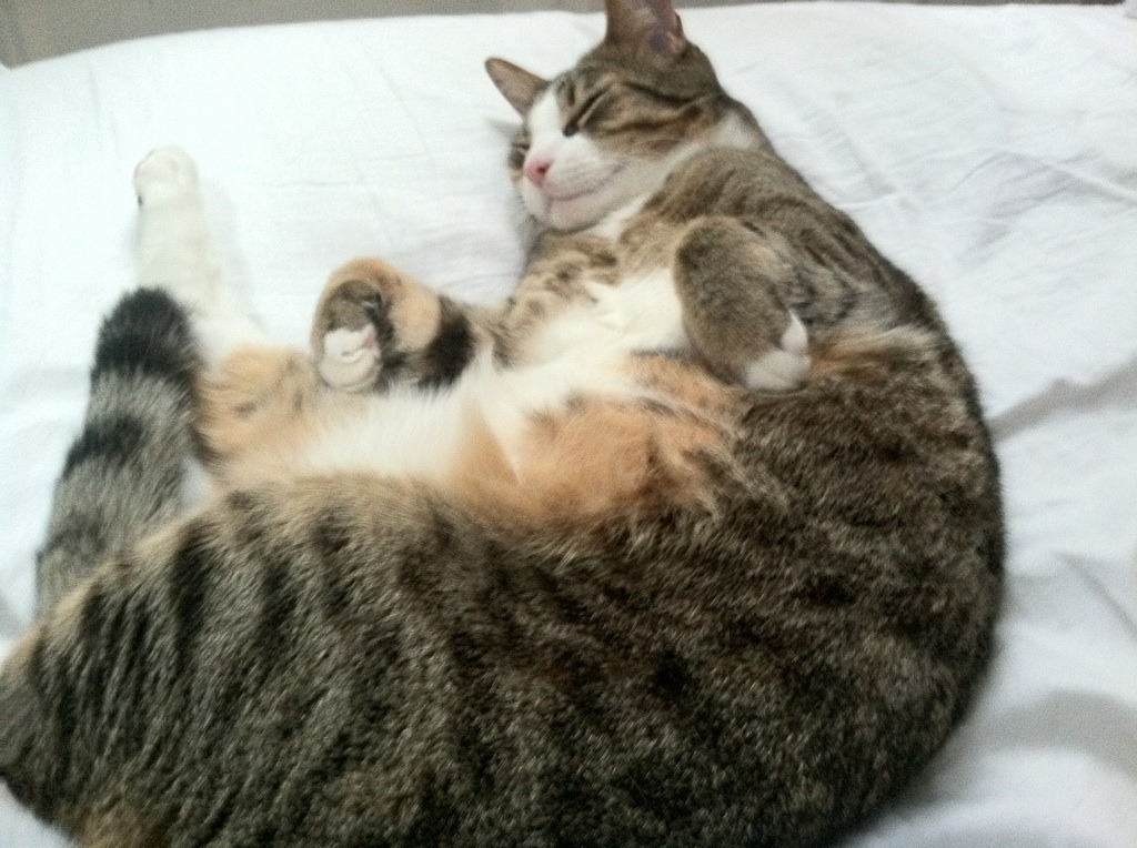 新赛季装备检查机制纳入规则制定流程，装备检查方案